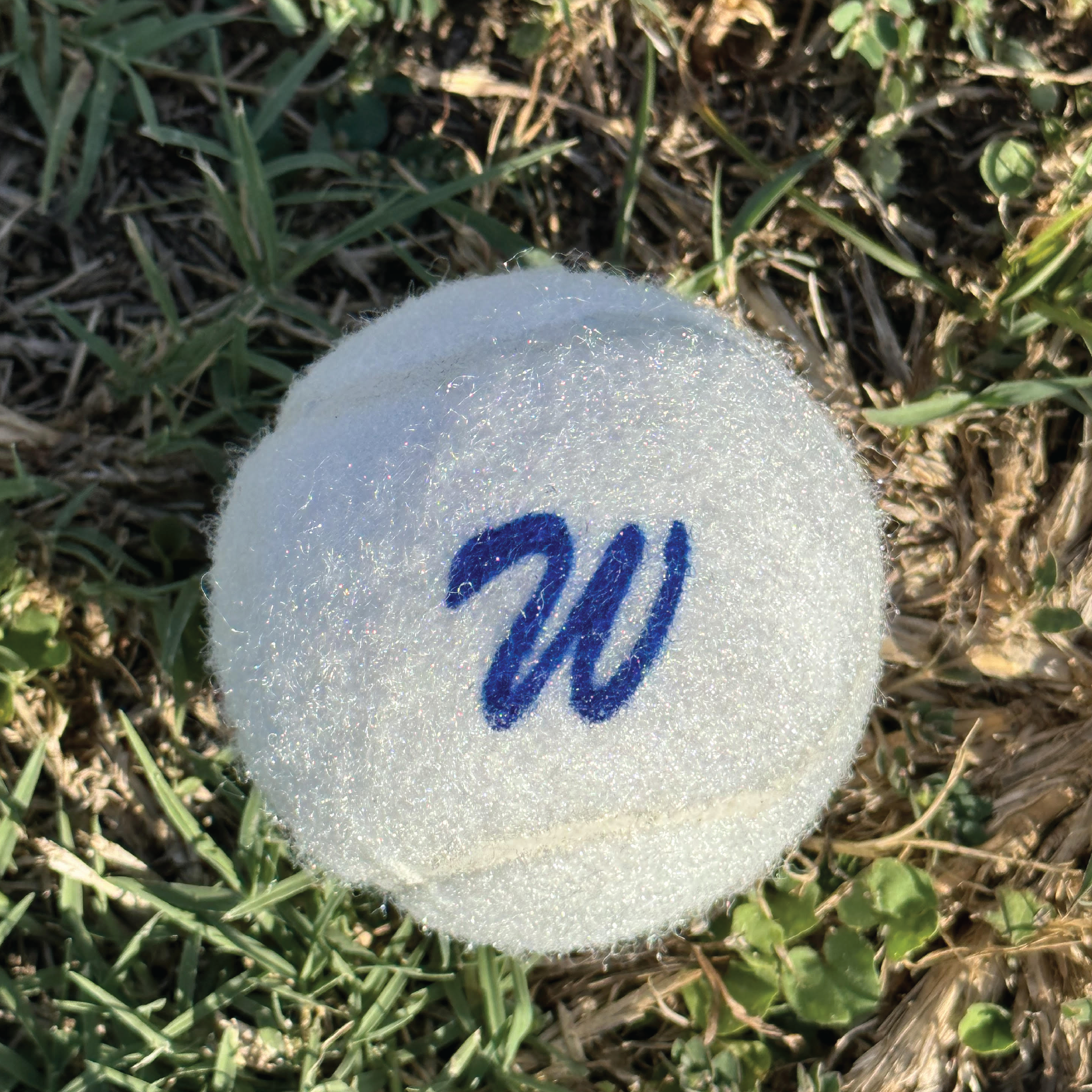 Westside Tennis Ball